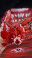 Stigmata Eye: Covenant Seized by the Boneclaw