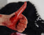 Stigmata Eye: Covenant Seized by the Boneclaw
