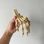 3D printed, hand-painted, and aged skeleton hand for Halloween.