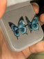 Blue Morpho-earrings