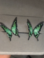 Mysterious green butterfly-earrings