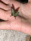 Green butterfly on fingertips-ring