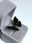 Gold-plated butterfly-ring