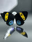 Two-color butterfly-earrings