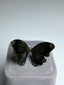 Gold-plated butterfly-ring