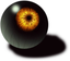 Customized Eyeball