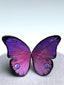 Gradient purple butterfly-ring