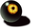 Customized Eyeball