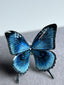 Blue Morpho-earrings