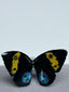 Two-color butterfly-earrings