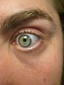 A pair of real human eye pendants.